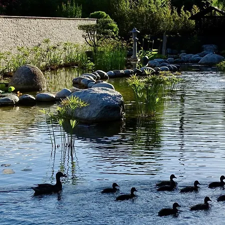 Maison Du Appartement
