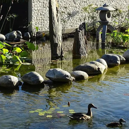 Appartement Maison Du