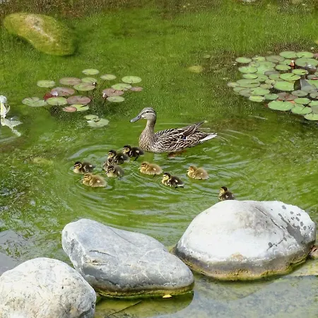 Maison Du * Les Angles (Gard)