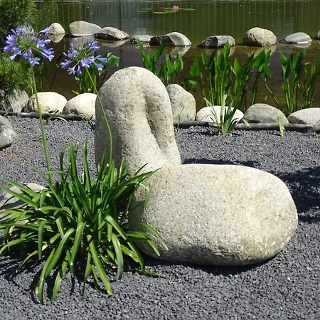 Appartement Maison Du Les Angles (Gard)