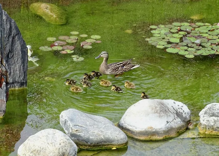 Maison Du * Les Angles (Gard)